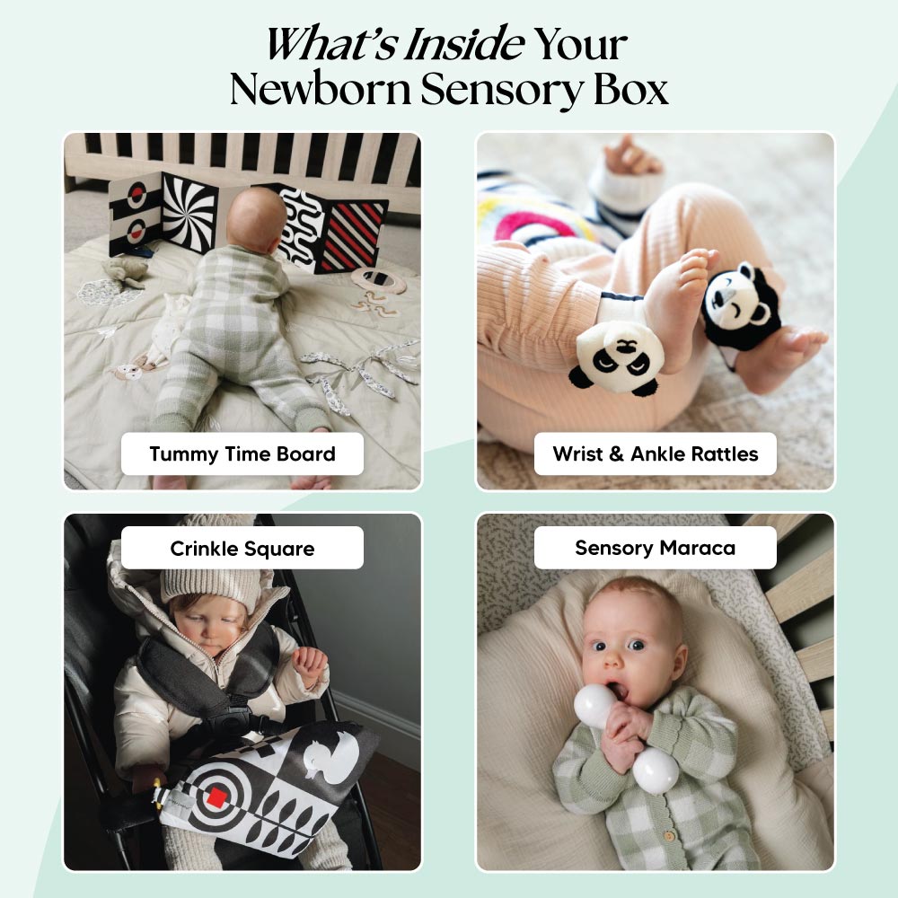 The Newborn Sensory Box