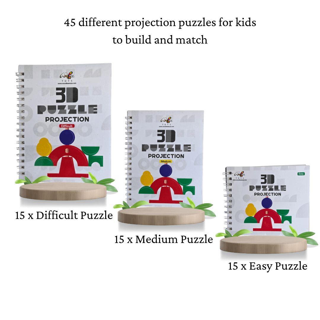 Interactive Educational Wooden Logic Game