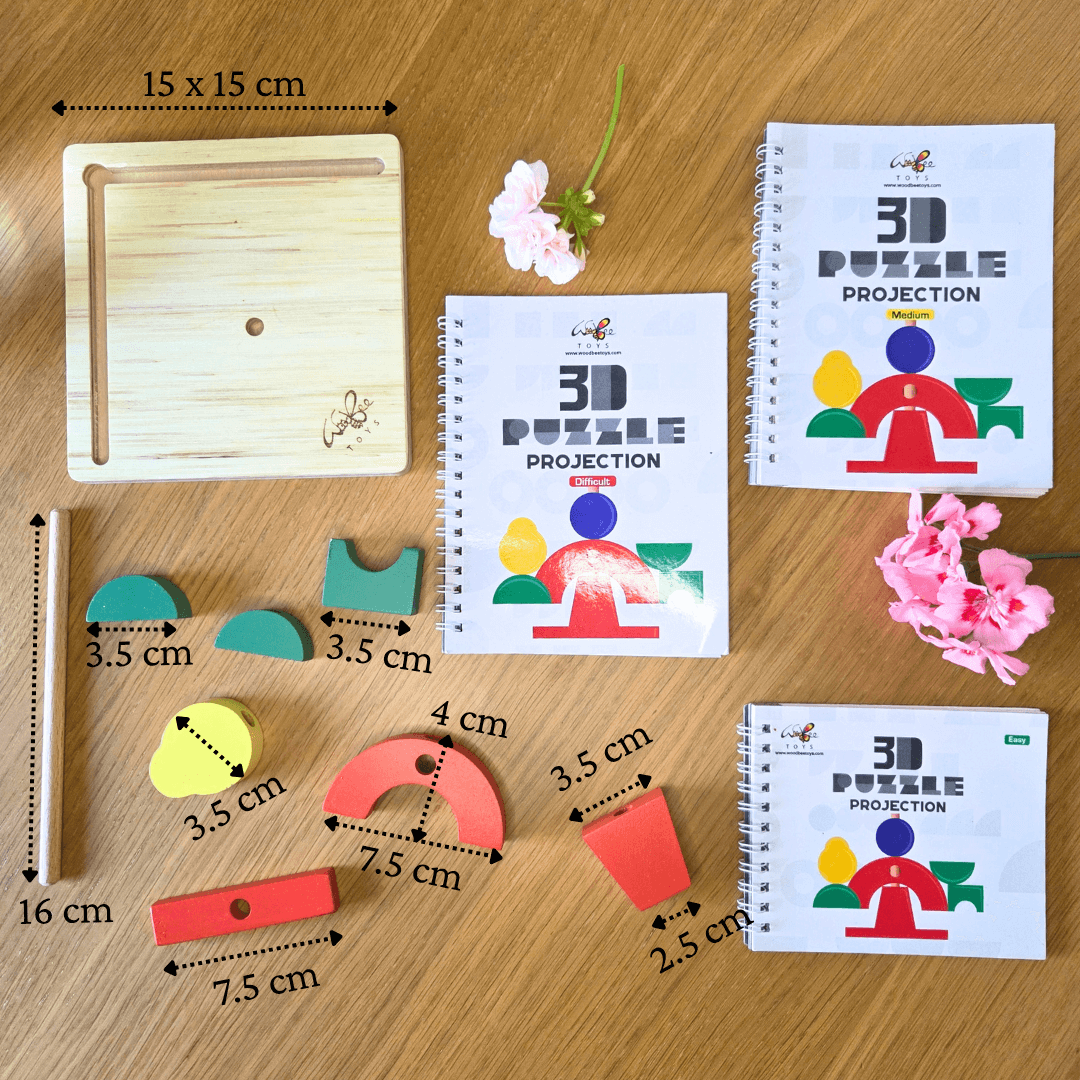 Interactive Educational Wooden Logic Game