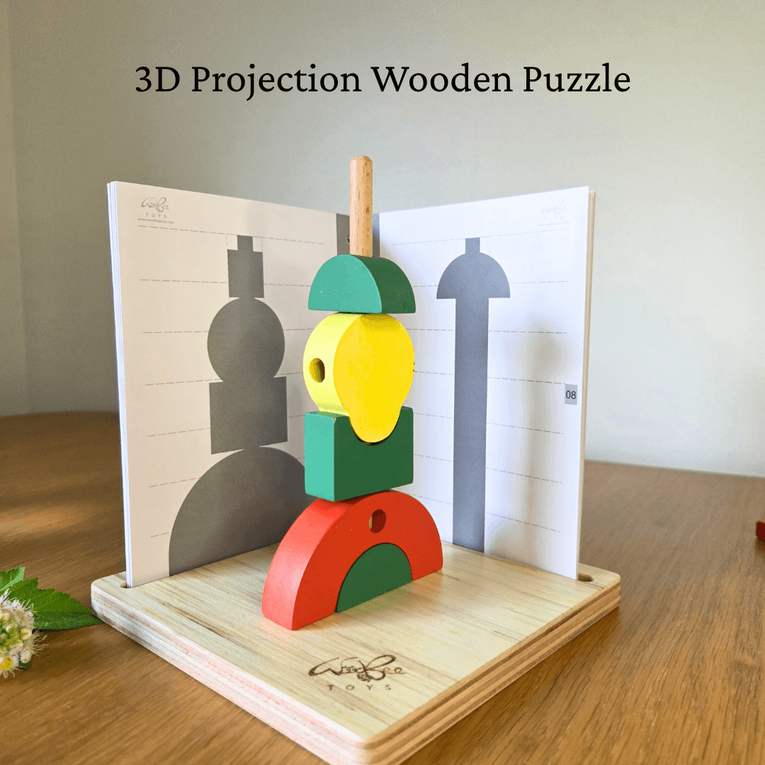 Interactive Educational Wooden Logic Game