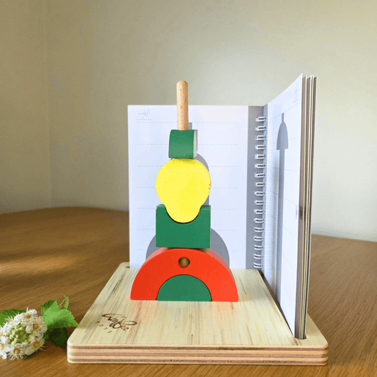 Interactive Educational Wooden Logic Game