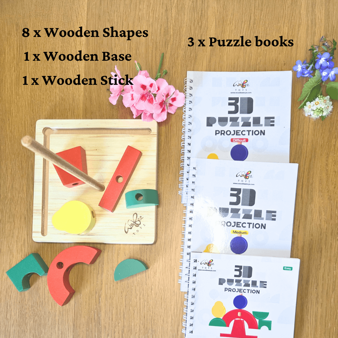 Interactive Educational Wooden Logic Game