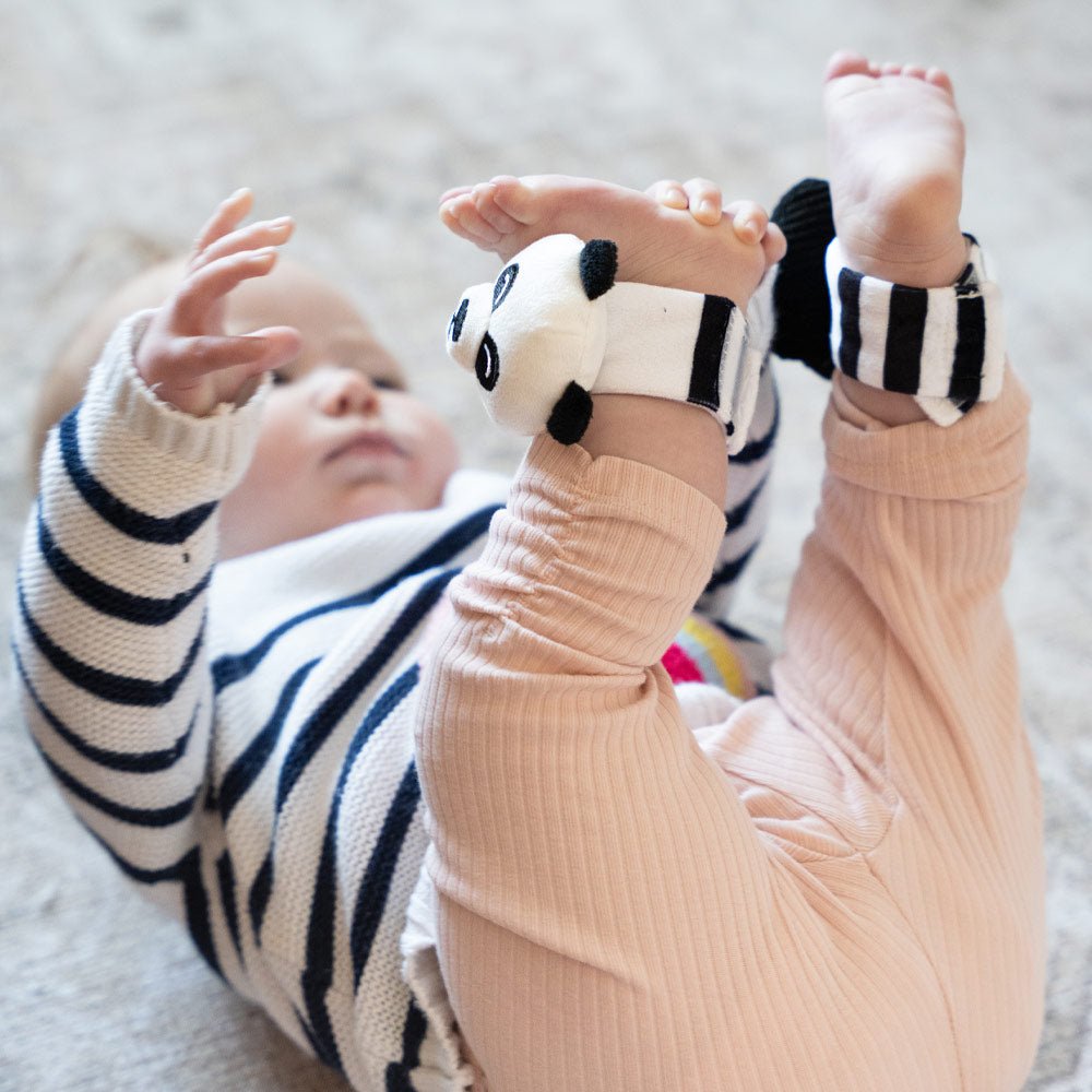 The Newborn Sensory Box