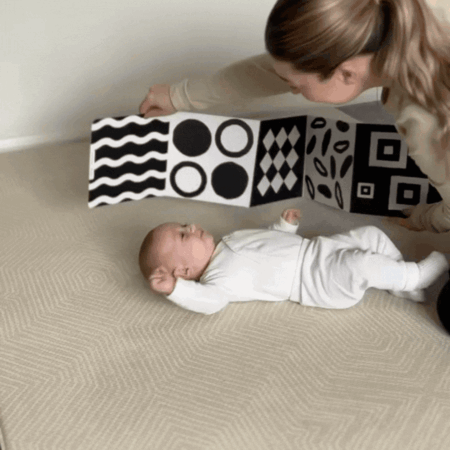 The Newborn Sensory Box