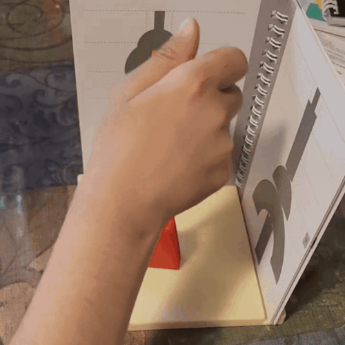 Interactive Educational Wooden Logic Game